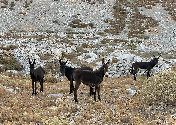 θέα - Thea Karpathos * Олимп