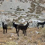 θέα - Thea Karpathos * Olympos
